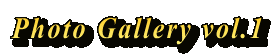Photo Gallery vol.1