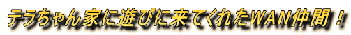eƂɗVтɗĂꂽWANԁI